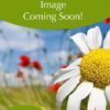 products new image coming soon 8cfa434a 18ec 4872 8244 137146763115