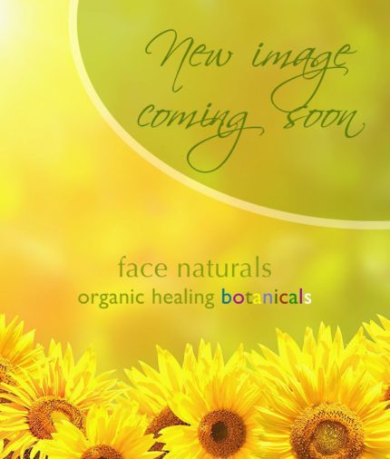 Anti-Blemish Facial MaskFace Naturals