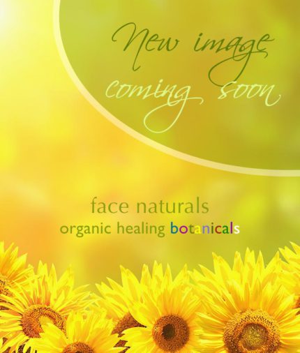 Hand Cleanser - Try Me SizeFace Naturals