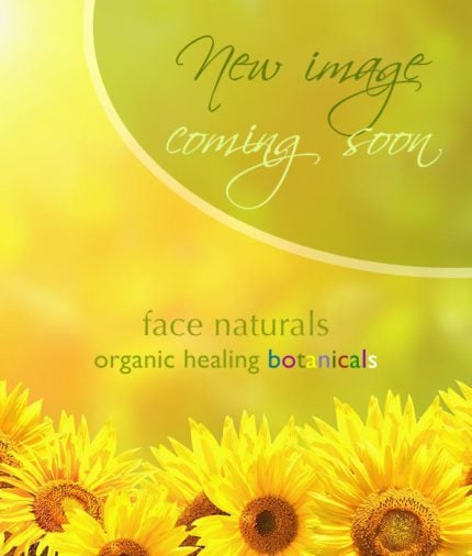 Limited Edition - Juniper Berry and Pine Bar SoapFace Naturals