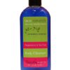 Peppermint and Tea Tree Moisturizing Body Cleanser 2 Peppermint and Tea Tree Body CleanserFace Naturals