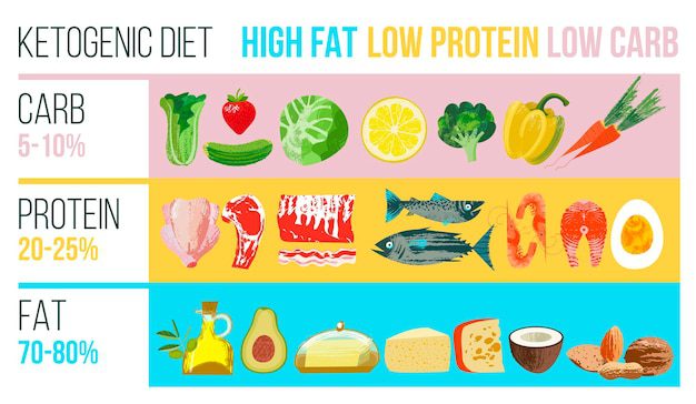 blogs posts ketogenic diet large set products keto diet vector illustration 538191 10