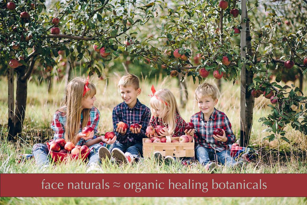 What’s the big deal about the apple? 2 blogs posts organic healing apple natural skin care
