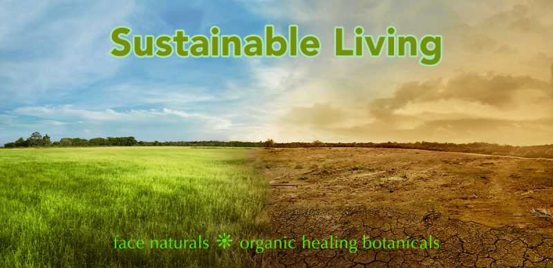 climate change sustainable living green peace global warming climate crisis eco friendly living recycle save planet earth eco warrior